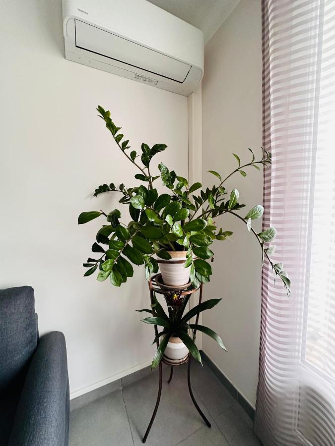 Apartament Le Soulier De Notre Dame Marsylia Zewnętrze zdjęcie